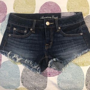 American Eagle Festival Shorts